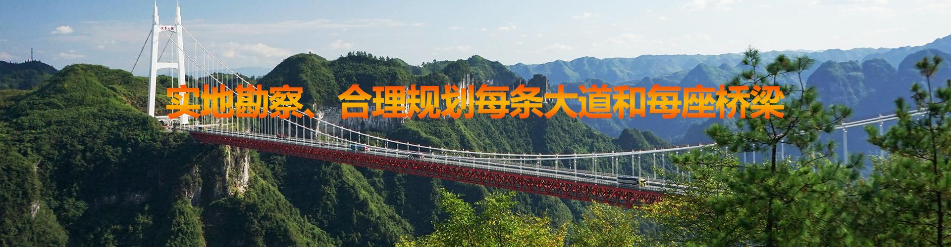 业务范围